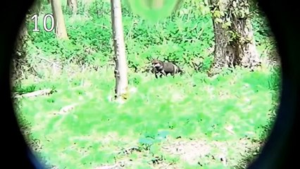 The Shooting Show 2015s top ten hunting videos