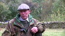 The Shooting Show red stags on high and low ground