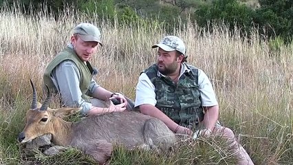 The Shooting Show South African mountain reedbuck and a roadside roebuck