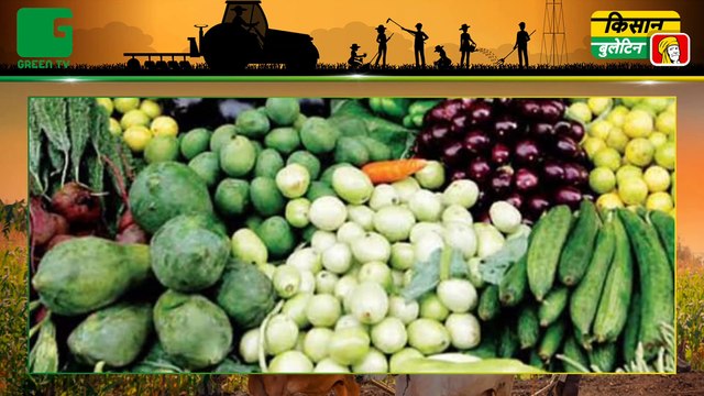 मथुरा (Mathura) में बनकर तैयार हुआ उत्तर भारत (North India) का पहला GRPF, अब फलों व सब्जियों को स्टोर करने में नहीं होगी परेशानी | Kisan Bulletin | Green TV