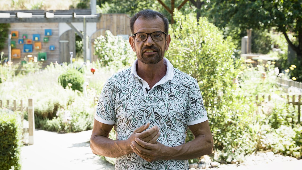 Urban-Gardening-Tipps: Wieso stirbt mein Basilikum?