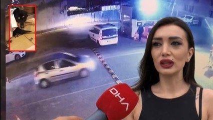 Sahibi vahşeti anlattı! Üzerinden geçtiği köpeğin saatlerce can çekişmesini izlemiş