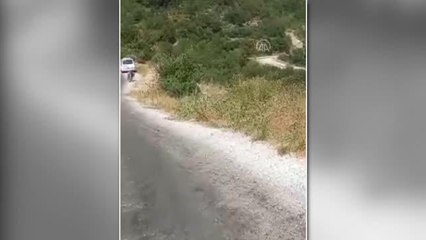 Son dakika haberi... Safari turu yapan araç şarampole devrildi: 1 kişi öldü, 9 kişi yaralandı