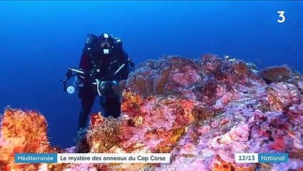 Cap Corse : une équipe de plongeurs analyse des mystérieux anneaux