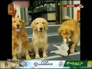 Atapattama 21-07-2021