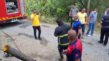 Zonguldak’ta 12  bin hindi yavrusu yangında telef oldu, bir otomobil kullanılamaz hale geldi
