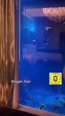 مفاجأة بلقيس فتحي لابنها تركي بالعيد‎‎