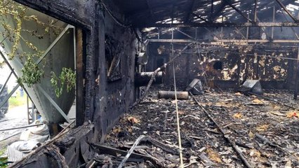 Zonguldak'ta 12 bin hindi yavrusu yangında telef oldu, bir otomobil kullanılamaz hale geldi