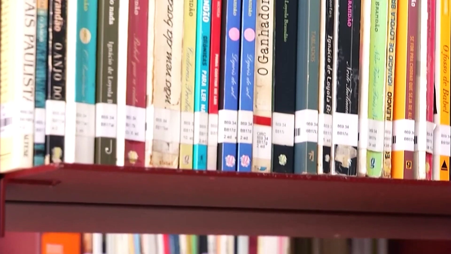 Quem Ama Entende - Livros e Gatos