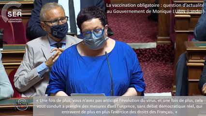 Monique Lubin (Landes) : question d'actualité du 21 juillet 2021