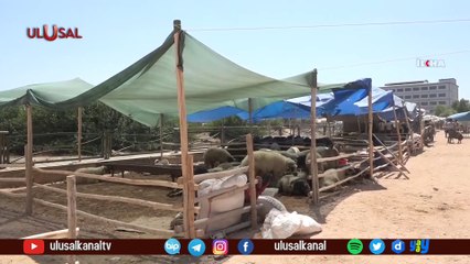Kurbanlıklar elde kaldı