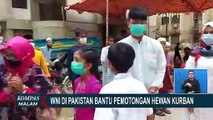 WNI di Pakistan Bantu Pemotongan Hewan Kurban