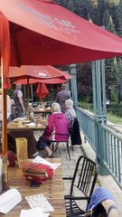 Officer Herds Bear Back Towards the Woods