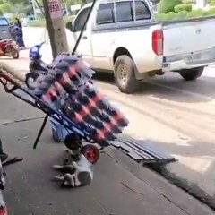 Güzel yürekli insandan kedi sevgisi