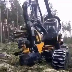 Harika teknoloji! Saniyeler içinde ağaç kesim işlemi
