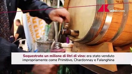 Falso vino Igp, maxi sequestro nel Foggiano