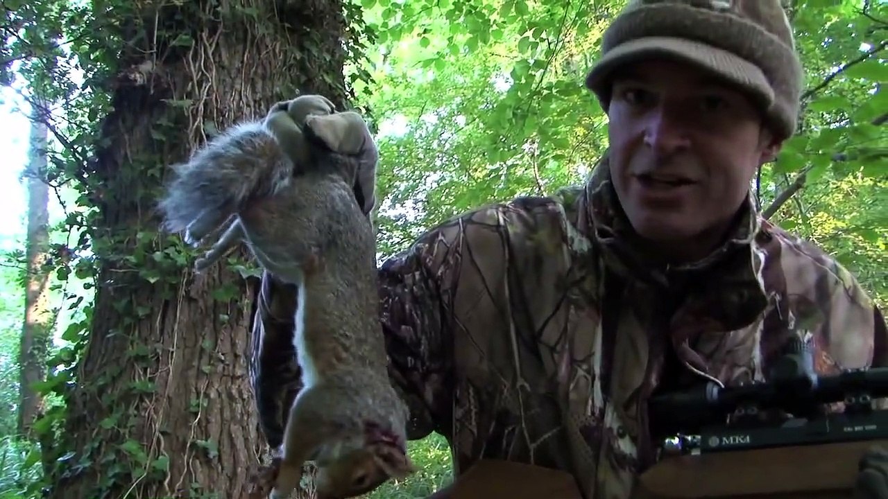 The Airgun Show – autumn squirrel shooting and the Weihrauch HW100KT