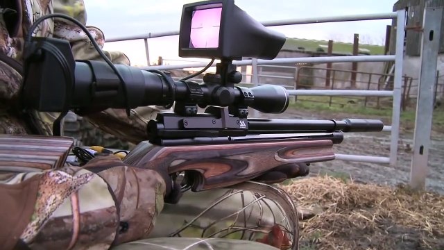 The Airgun Show – rat shooting with NV, guns and gear from IWA, plus the Daystate Wolverin