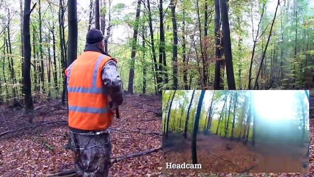 The Shooting Show Christmas special driven wild boar in Bavaria