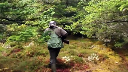 The Shooting Show walked up woodcock and expert varminting