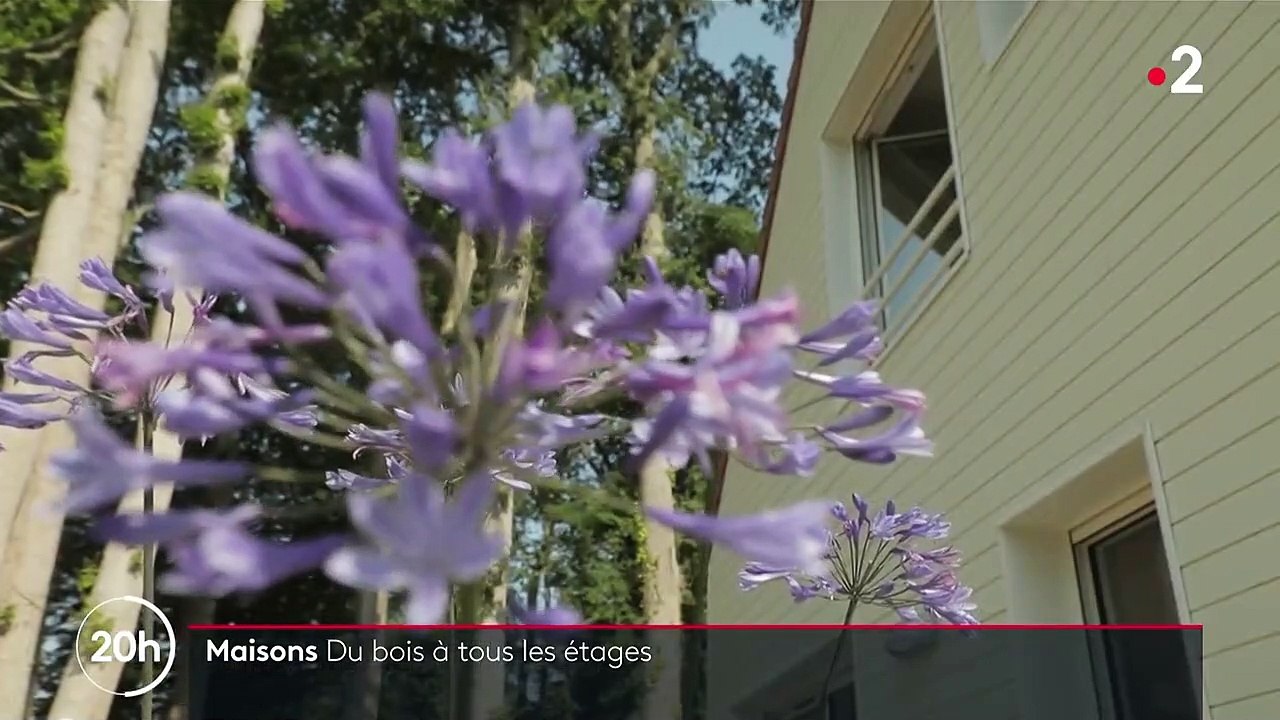 Logement : des maisons construites en bois, plus chères mais plus écologiques