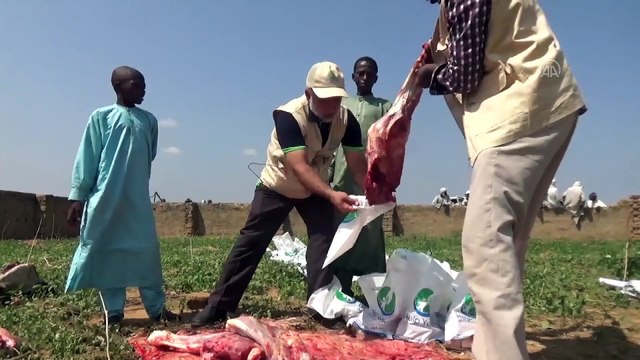 DAUBALİ - Yardımseverler tarafından bağışlanan kurbanlar ihtiyaç sahiplerine ulaştırıldı