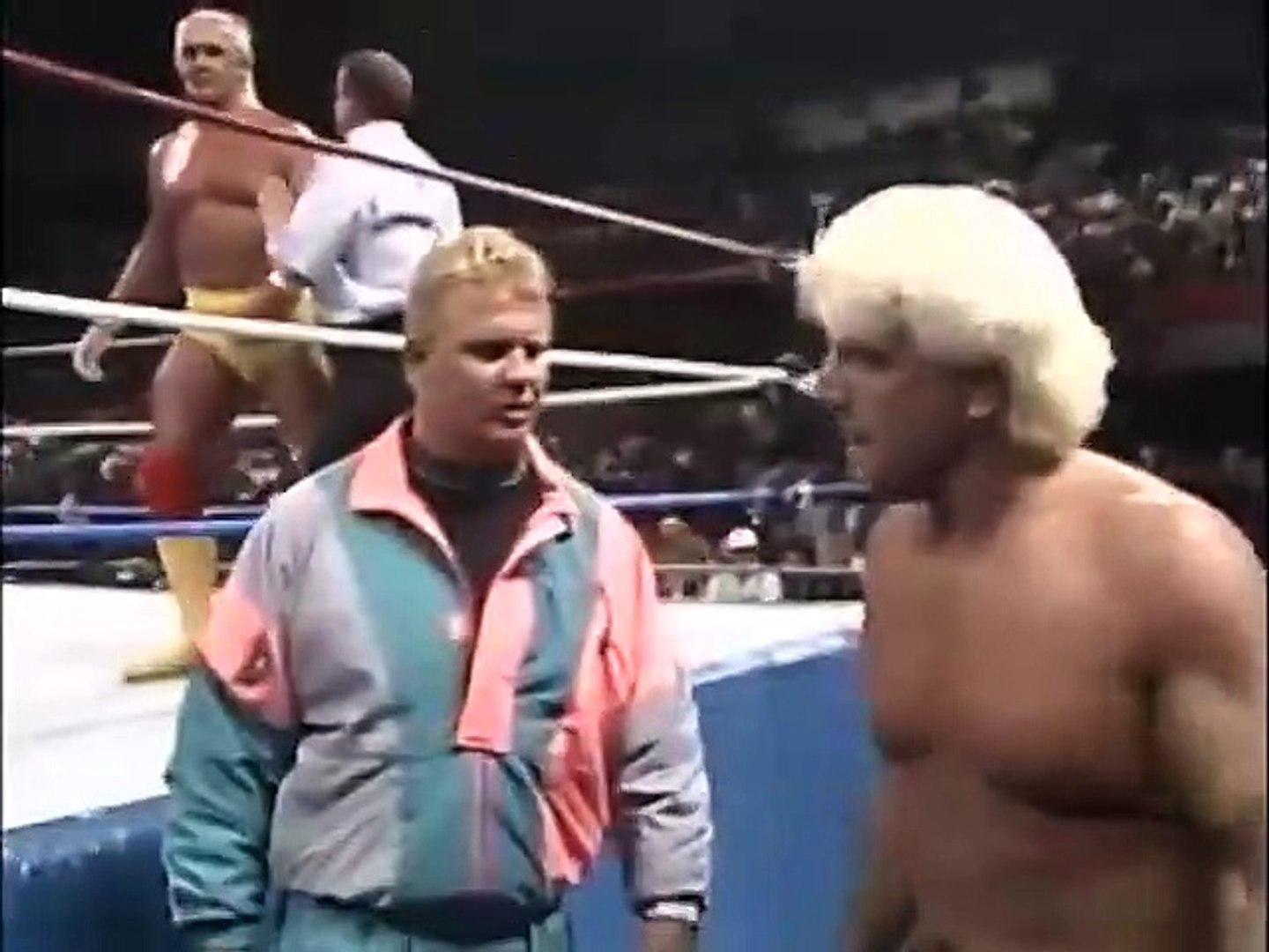 Hulk Hogan vs Ric Flair Rare WWF Match from 1991 - video Dailymotion