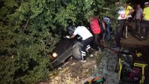 Sulama kanalındaki ağaca çarpan otomobil ikiye bölündü: 1 ağır yaralı