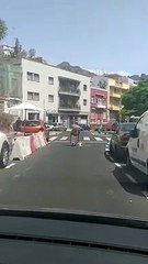 "¿Esto es en serio?": Conduce subido a un bidón de cerveza en pleno centro de Santa Cruz