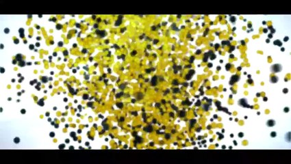 Müslüm Eke Mustafa EkeGül Ki Güller Açsın Aşağıdan Gelir