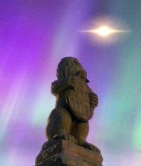 León mirando al cielo