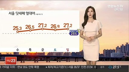 [날씨] 서울 닷새째 열대야…한낮 펄펄 끓는 무더위