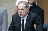 Harvey Weinstein pleads not guilty to LA sex crime charges