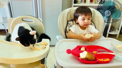 Chú boss sướng như tiên nhà MC Phương Mai