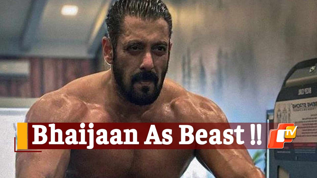 Salman Khan Turns Beast For Tiger 3! Watch This Intense Workout Session Of Bollywood Bhaijaan