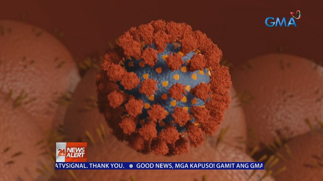 DOH: 12 na bagong local cases ng SARS-CoV2 Delta variant, naitala; Total cases, 47 na | 24 Oras News Alert