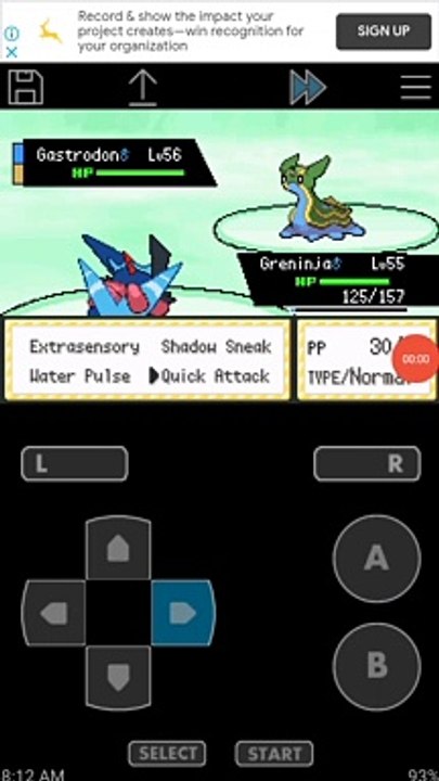 BATTLE WITH WILD POKEMON