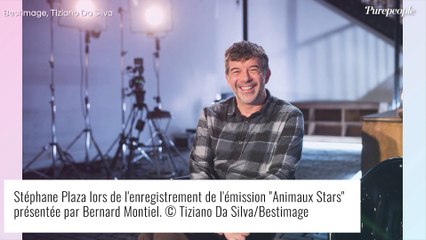 Stéphane Plaza séparé de "la personne idéale" : une rupture annoncée de façon discrète ?