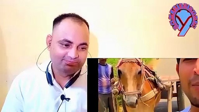 TERA BHAI JOGINDAR INSTAGRAM REELS REACTION BY SAMJH KE SAMJO