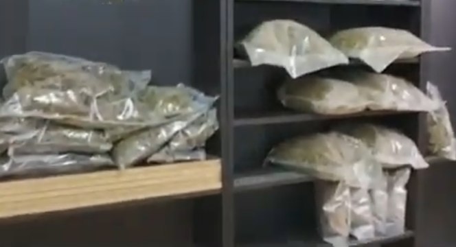 Torino - Serra e deposito di marijuana su retro negozio sigarette elettroniche (22.07.21)