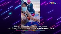 Heboh! Wanita Ini Bayar Jasa Pijit Hampir Rp 3 Juta di Bali