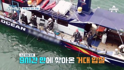 [선공개] 진짜 참돔? 9시간 만에 찾아온 덕화의 거대 입질!