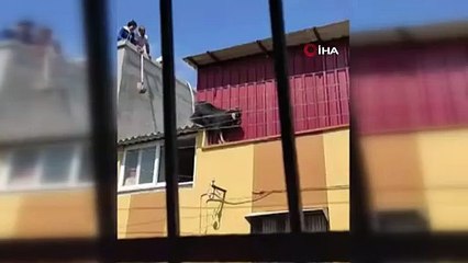 Kurbanlık keçi metrelerce yüksekten böyle düştü