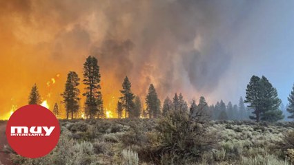 El incendio masivo Bootleg de Oregón está creando su propio clima
