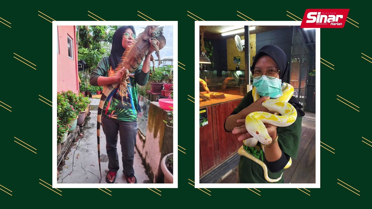 Cinta Eksotik Puteri Ular