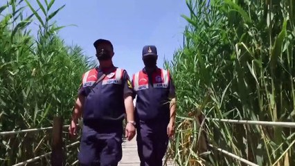 KAYSERİ - Jandarmanın özel timi çevre ve hayvanlar için mesaide