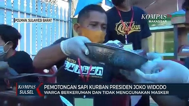 Pemotongan Sapi Kurban Presiden, Warga Berkerumun Dan Tidak Menggunakan Masker