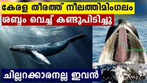 Blue whale's sound captured for first time near Kerala coast | Oneindia Malayalam