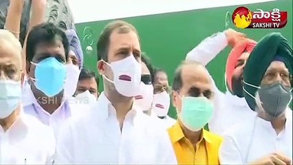 రైతు ఉద్యమానికి మద్దతుగా పార్లమెంట్ ప్రాంగణంలో రాహుల్ ఆందోళన