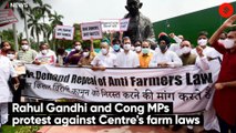 Rahul Gandhi and Cong MPs protest against Centre's farm laws